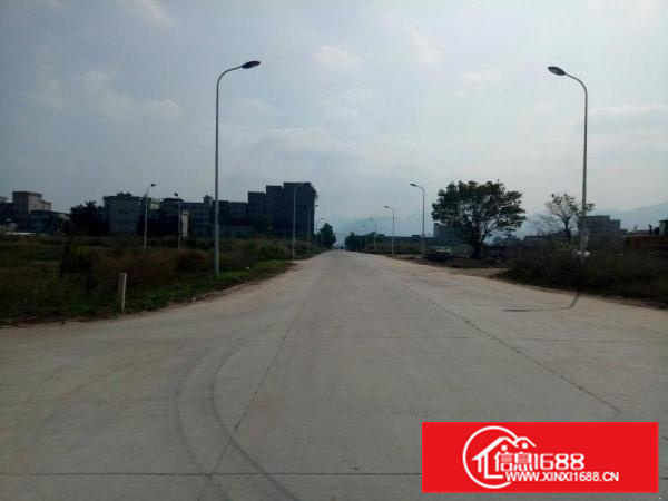 陈江主大道边全新独院钢构14000平米