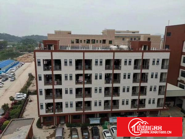 潼桥花园式厂房15000平米出租可分租