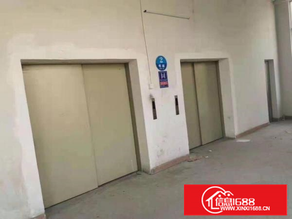 长安沙头新出标准厂房1450平出租，带精装修办公室水电齐全