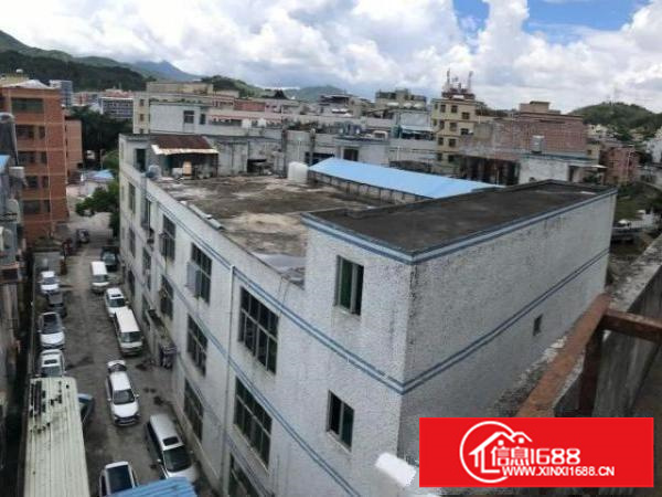 横岗大康独门独院3600平方出租有配宿舍