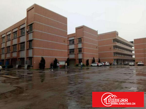 大岭山新出标准厂房3楼1800平豪华装修无转让费价格美丽