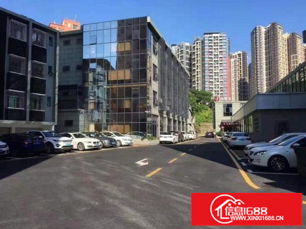 坂田十号线双地铁口电商园630平厂房招租，拎包入住