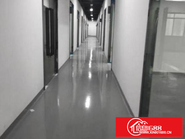 光明红本厂房200平方起分租精装修