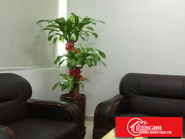 出租龙岗区横岗业主直招惠盐路边2850平米一楼厂房急租