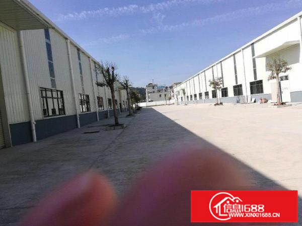 惠州新圩滴水9米高钢构厂房22800平米16元租