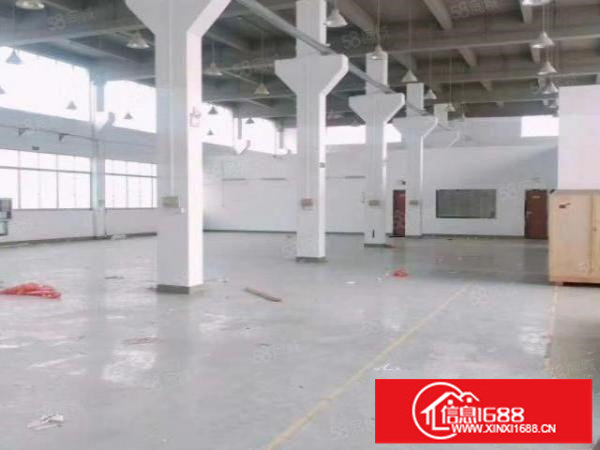 低价急租！松岗潭头一楼带牛腿7米高1000平原房东厂房出租！