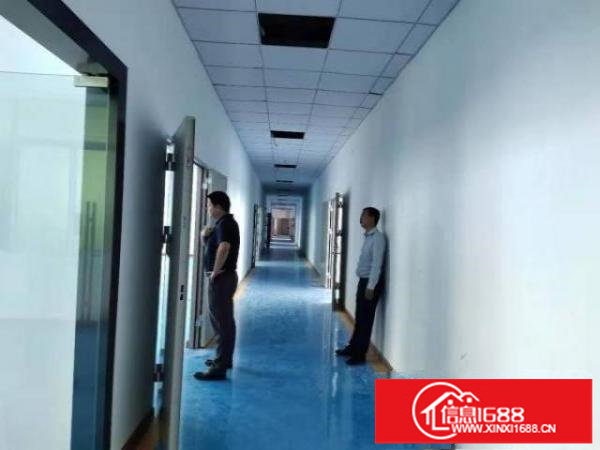 龙岗吉祥生物医疗产业园1855平方红本厂房招租有补贴可分租