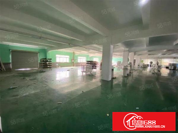 新出大朗原房东楼上整层1000方，带办公室地坪漆，清盘价12