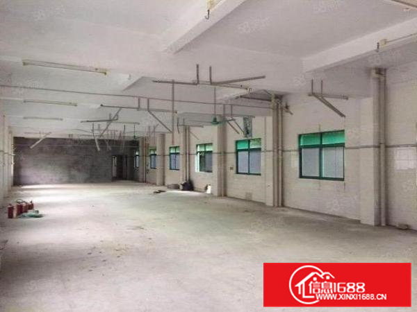 桥头镇原房东一楼厂房出租500平方，面积实在价格便宜水电齐全