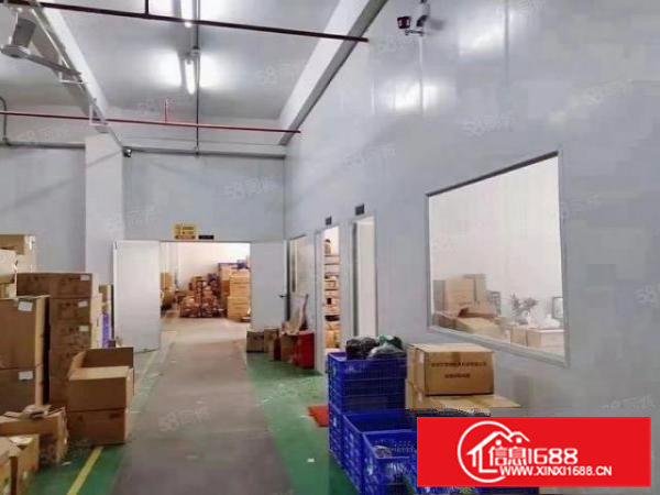 凤岗五联原房东厂房出租，带装修