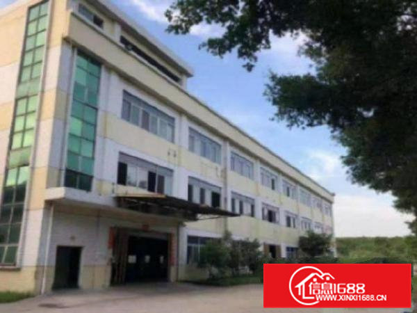 高埗新出独门独院标准厂房8000平方出租带地坪漆