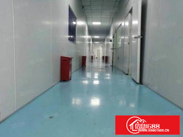 厂房招租长安乌沙新出三楼1200平方，装修齐全，拎包生产