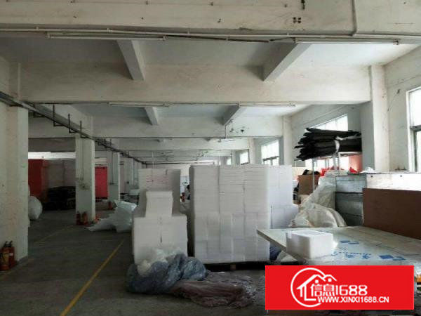 塘厦沙湖新出厂房两层1600平方可分租，精装办公室