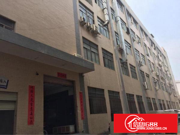 凤岗雁田标准一楼厂房2550平方米带现成办公室出租