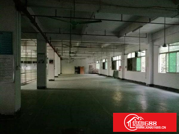 凤岗官井头2楼1200平5楼1500平现成装修厂房