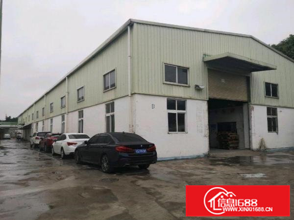 金凤凰村靠山边新出单一层钢构2200平带装修