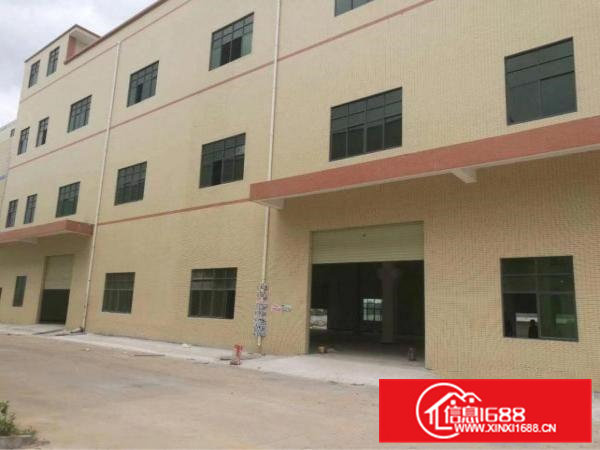 清溪上元原房东一楼1200平方带水电办公室装修出租