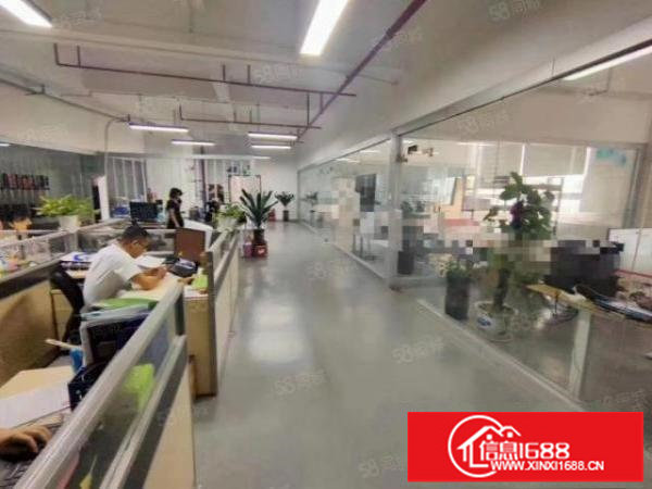 观澜新田原房东红本厂房实际面积出租500平方，现成装修