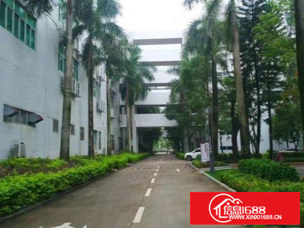 坪山大工业区广为智联产业园（1楼，4楼，五楼）分层带红本招租