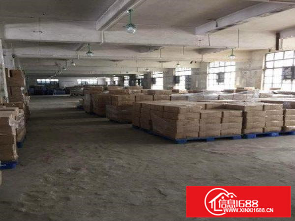 清溪土桥新出一楼标准厂房出租1900平（可分租）