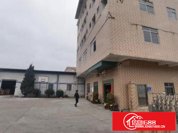 常平桥沥独院单一层厂房水电线路齐全