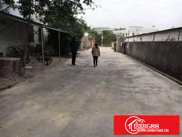 (原房东厂房出租)坪山碧岭6000平独院出租