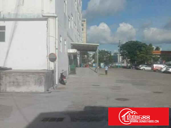 出租龙华区观澜工业厂房