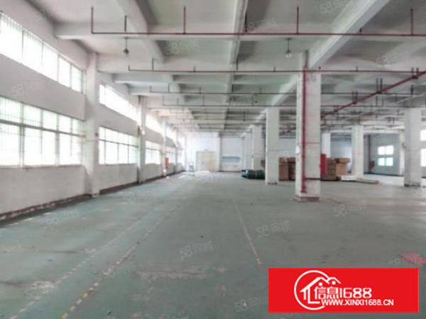 塘厦原房东大型园区一楼整层2500平方出租，实用率8成