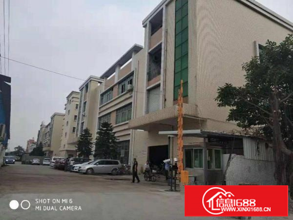 长安乌沙新安大桥楼上1500平厂房出租低至15元可分租