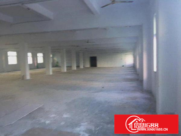 东坑塔岗新出二楼1000平厂房