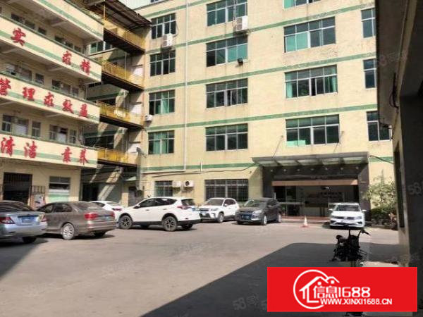 大岭山杨屋新空出4楼1000平标准厂房出租，水电齐全