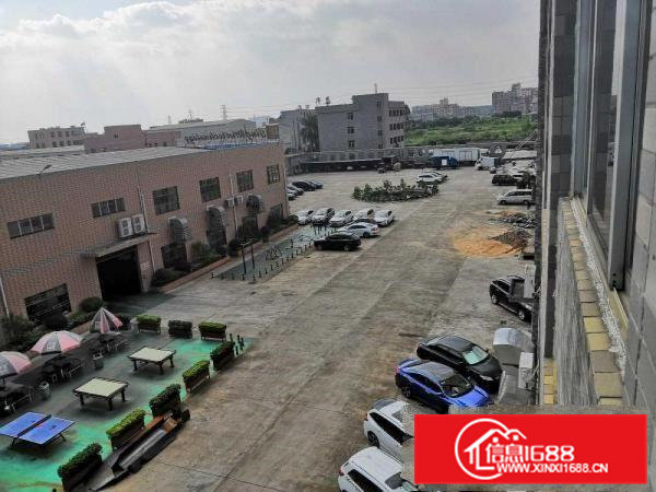 横沥新城独院标准一楼工业厂房910平招租