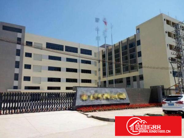 坪山大工业区独门独院39000平米业主出租