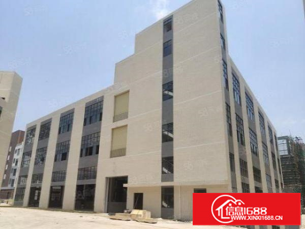 不受村改影响，顺德杏坛15000平方标准厂房出租