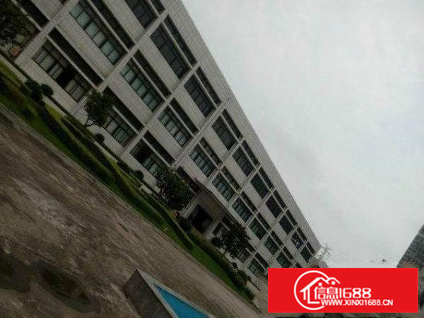 常平霞坑新出二楼1800平方精装修厂房出租