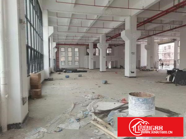 茶山靠主干道原房东新建标准独院厂房招租