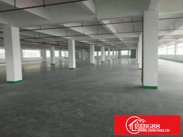 龙岗坪地2000平带精装修厂房大小分租