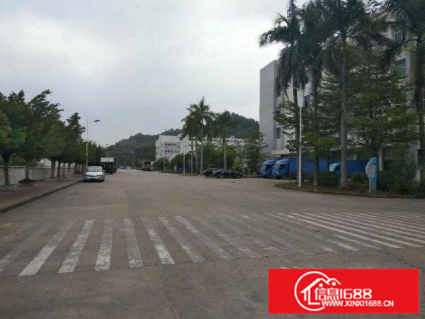 秋长西湖主干道旁1500平标准一楼厂房出租