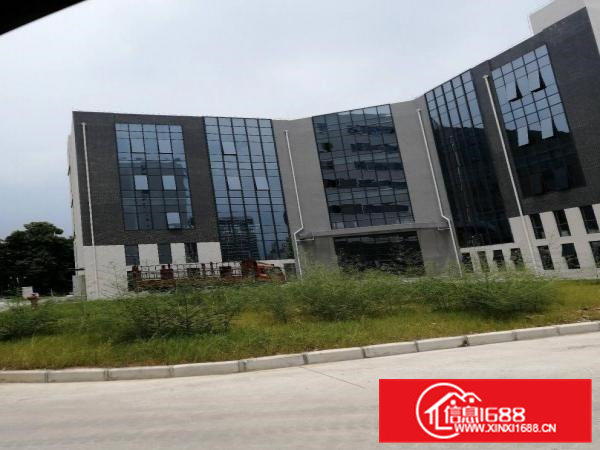 免租12个月！免租12个月！全新豪华装修厂房出租啦！