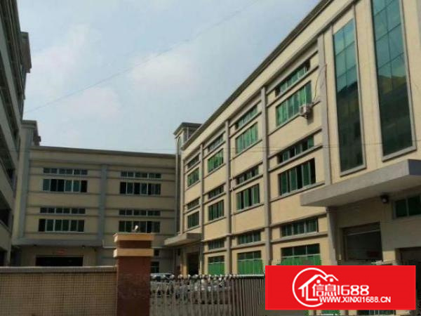 万江上甲1000平米一楼低价出租现成水电高度6米