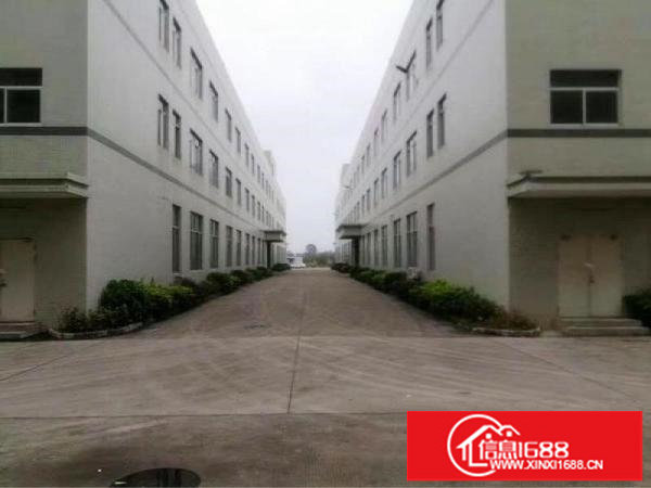 坪地低碳城带牛角6米高一楼3600平米18元