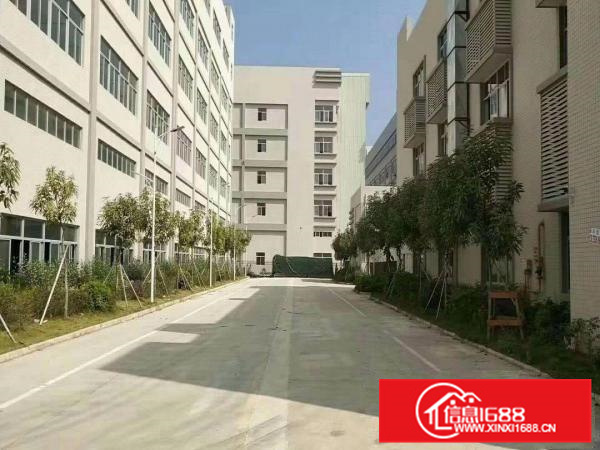 仲恺沥林原房东独门独院5层16000平米出租