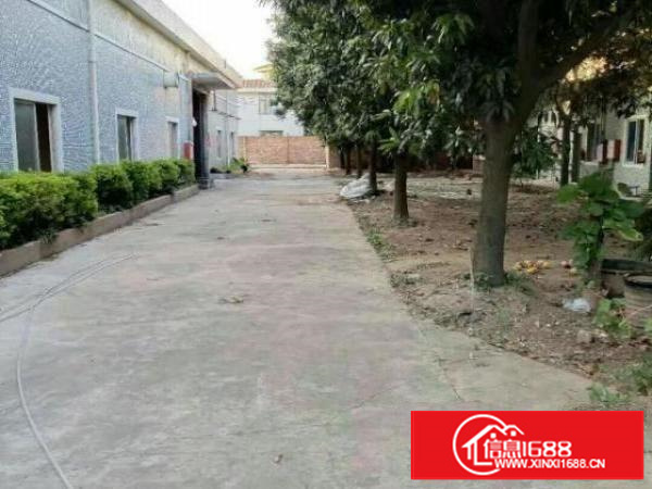 万江小享单一层钢构厂房2200平方出租;可办环评水电齐全