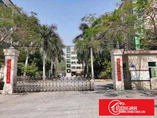 谢岗原房东花园式独院厂房出租厂房4层6000平可分租