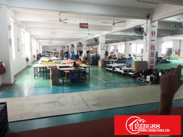 坂田岗头一楼厂房1000平出租，有红本，带装修