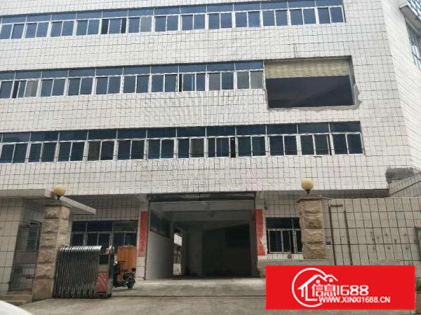 虎门威远新出一4层独门独院厂房5800平