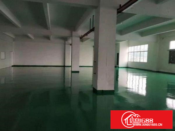 （出租）凤岗新出楼上570平全新地坪漆水电齐全