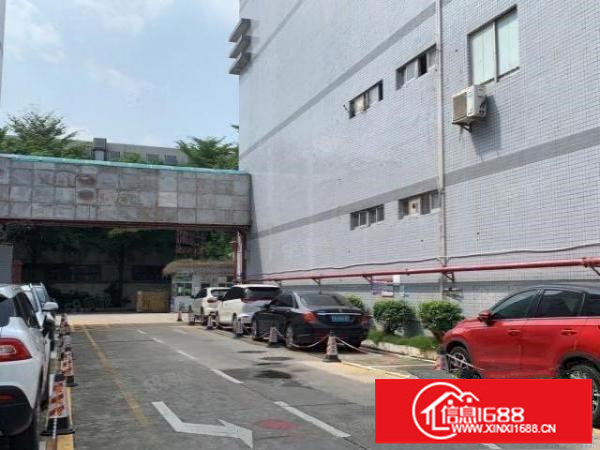 观澜桂花.观光路旁工业园.好进出大货柜车.一楼580平