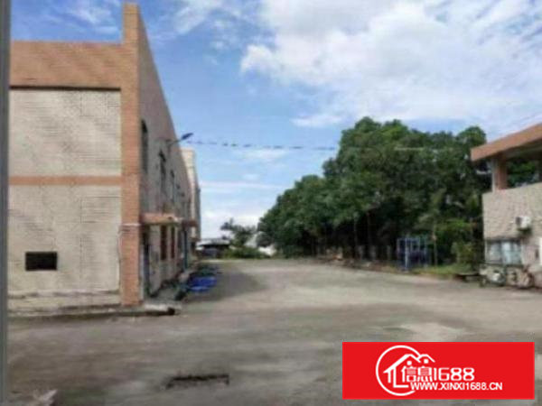 高埗独院单一层3500平方厂房仓库出租