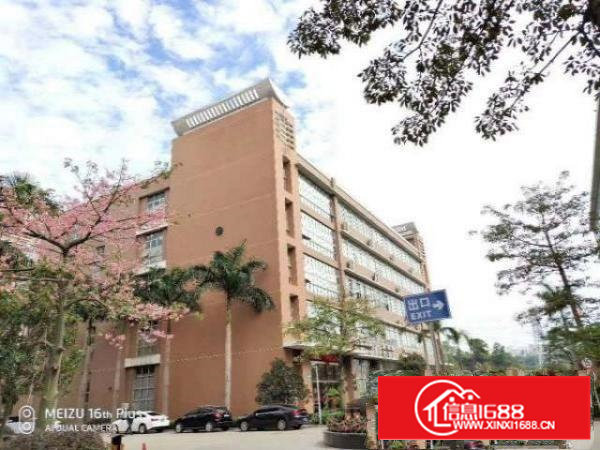 石岩原房东独院厂房25800平方出租